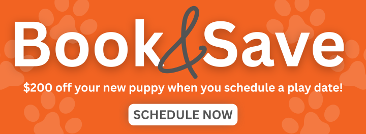 Book online appointment banner