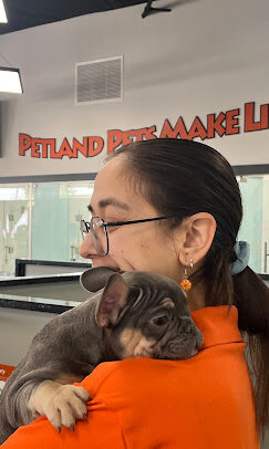 A Petland Scottsdale team member holding a puppy